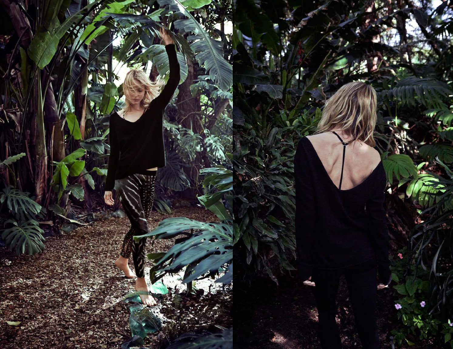 LOTUSLAND